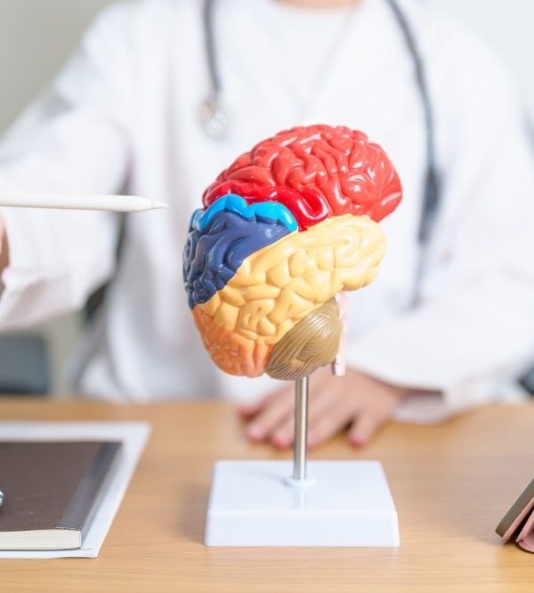 Geheugen en concentratie 600x667